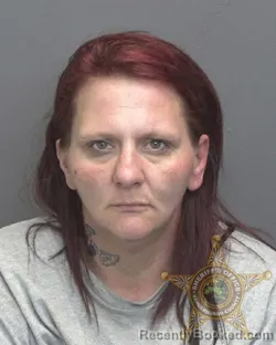 Mugshot of Heather Dawn Mayes booked in Vanderburgh County, Indiana on August 3, 2026