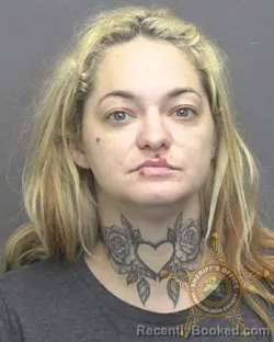 Mugshot of Cayla Jo Alvey booked in Vanderburgh County, Indiana on August 12, 2026