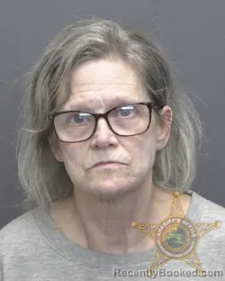 Mugshot of Karen Elizabeth Koch booked in Vanderburgh County, Indiana on August 14, 2026