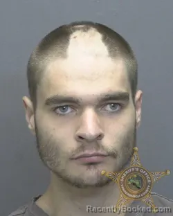 Mugshot of Nova David Collins booked in Vanderburgh County, Indiana on August 15, 2026