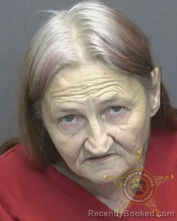 Mugshot of Sandra Jean Dougan booked in Vanderburgh County, Indiana on August 18, 2026