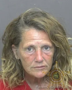 Mugshot of Karen Kay Norman booked in Vanderburgh County, Indiana on August 18, 2026