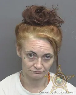 Mugshot of Monica Lynn Embry booked in Vanderburgh County, Indiana on September 16, 2026