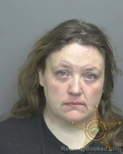 Mugshot of Patricia Ann Brinson booked in Vanderburgh County, Indiana on September 19, 2026