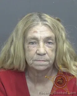 Mugshot of Karla Jo Lewis booked in Vanderburgh County, Indiana on September 22, 2026
