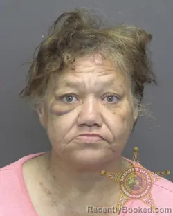 Mugshot of Diane Rene Flores booked in Vanderburgh County, Indiana on September 24, 2026