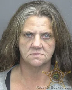 Mugshot of Heather Marion Sue Chatman booked in Vanderburgh County, Indiana on October 5, 2026
