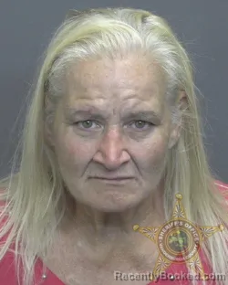 Mugshot of Misty Dawn Pitsonbarger booked in Vanderburgh County, Indiana on October 9, 2026