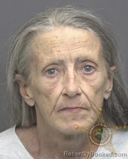 Mugshot of Ellen Annette Hamilton booked in Vanderburgh County, Indiana on October 21, 2026