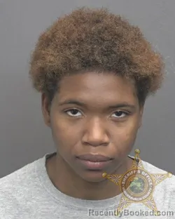 Mugshot of Lamyah Scherele Adams booked in Vanderburgh County, Indiana on October 24, 2026