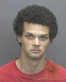 Mugshot of ROLAND DIRK WALLER