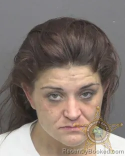 Mugshot of BRITTNEY DAWN DAVIS booked in Vanderburgh County, Indiana on June 16, 2026
