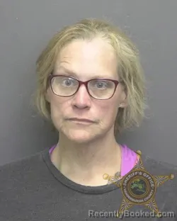 Mugshot of MICHELLE DIANE PIPPIN booked in Vanderburgh County, Indiana on June 4, 2026