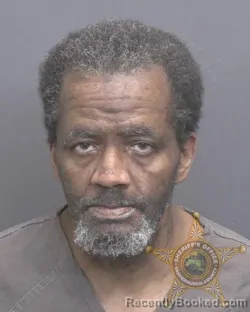 Mugshot of LASHAWN JOHNSON