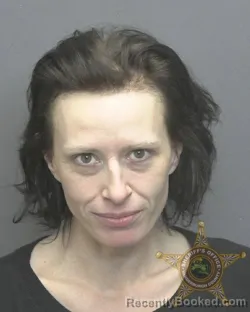 Mugshot of JESSICA MARIE BRADFORD