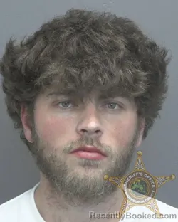 Mugshot of DAVID NEAL SUMRALL