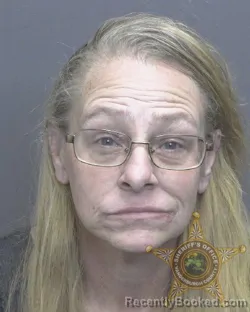 Mugshot of ROBERTA LYNN IRELAND