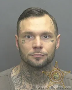 Mugshot of COLIN JAMES MINTON