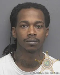 Mugshot of MICHEAL LYNN HOLMES