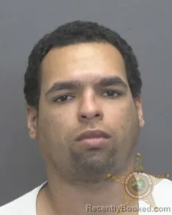 Mugshot of TERRELL DAYNE MITCHELL