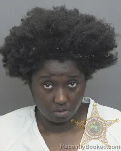 Mugshot of ARISSA NICOLE FLEMMING booked in Vanderburgh County, Indiana on July 2, 2026