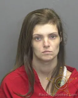 Mugshot of HOLLY NOEL DAVIS booked in Vanderburgh County, Indiana on June 26, 2026
