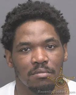 Mugshot of BERNEARD DE TORIO FLEMING