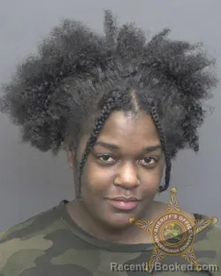Mugshot of DEANNDREIA LOUISE BURRIS booked in Vanderburgh County, Indiana on June 17, 2026