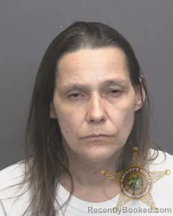 Mugshot of TAMMY YEVETTE PRYOR booked in Vanderburgh County, Indiana on May 7, 2026