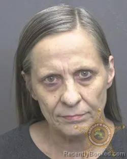 Mugshot of LORI LYNN MCDADE