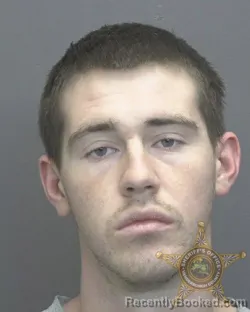 Mugshot of DANIEL JAMES NEAHRING