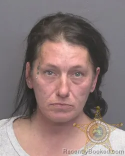 Mugshot of MEREDITH RENEE GOODSON