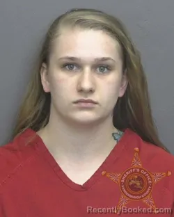 Mugshot of ALANA MARIE SCHAFFER
