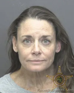Mugshot of STACY ELAINE FULTON