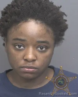 Mugshot of NILAKA FAY RENAE DULIN booked in Vanderburgh County, Indiana on April 26, 2026