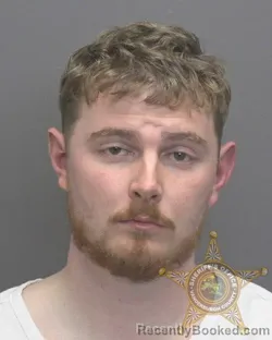 Mugshot of CONNOR WRIGLEY ROLLINS