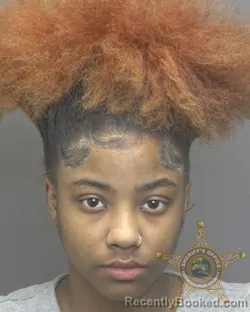 Mugshot of ANIYA LEEANN DUCKWORTH