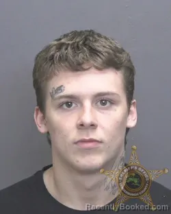 Mugshot of RICKY LEE HOLSTEIN