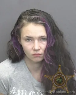 Mugshot of CHRISTINA DAWN MILLER
