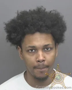 Mugshot of DERICO SHANE HAMMOND