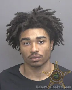 Mugshot of PRESTON RAY LOVAN