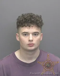 Mugshot of REECE JAMES WICKS