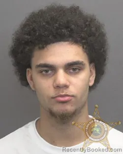 Mugshot of KAREEM RASHAD DAVIDOVIC