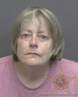 Mugshot of AMY RENEE CLARK