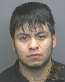 Mugshot of JENRI PEREZ GONZALEZ