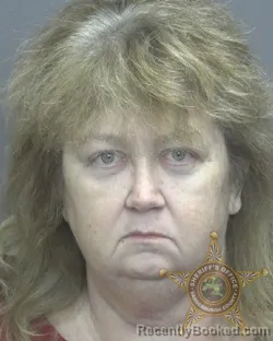 Mugshot of LISA HODGES VANDERMAR