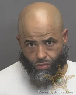 Mugshot of ANGEL ANDRES LEBRON