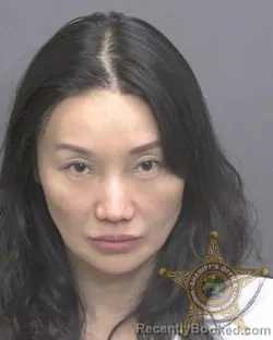 Mugshot of NIANXIAN XIA