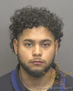 Mugshot of ALEX CAMACHO