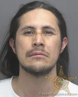 Mugshot of JORGE LUNA